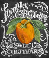 Chalkboard Pepper Framed Print