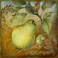 From The Grove Pear Fine Art Print