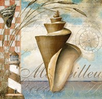 Shell Dreams 1 Fine Art Print
