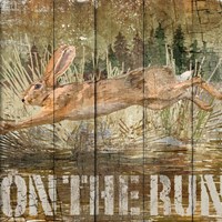 Rabbit on the Run Fine Art Print