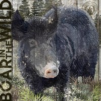 Boar in the Wild Fine Art Print