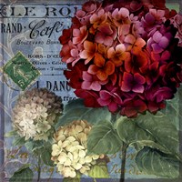 Rouge From the Garden I by Art Licensing Studio - various sizes