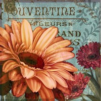 Rouge From the Garden II Fine Art Print