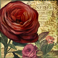 Rouge From the Garden IV Fine Art Print