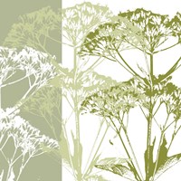 Delicate Greens Fine Art Print