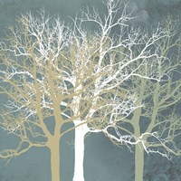 Tranquil Trees Fine Art Print
