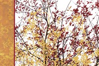 Painted Branches Fine Art Print