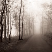 Foggy Path Fine Art Print