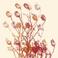 Zamora Fine Art Print