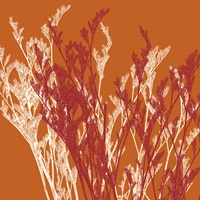 Granada Fine Art Print