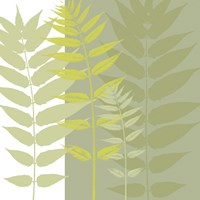 Field Greens Fine Art Print