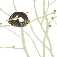 Feathers and Twigs Fine Art Print