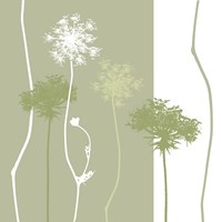 Queen Anne's Lace Fine Art Print