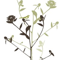 Something in the Air Framed Print