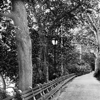 Respite Fine Art Print