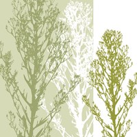 Gossamer Greens Framed Print