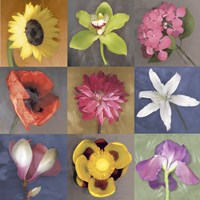 Flower Nine Framed Print