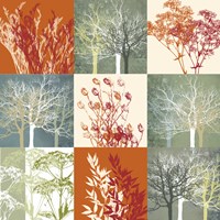 Botanical Nine Framed Print