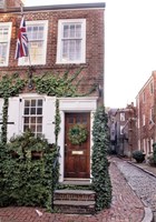 Ivy-covered Fine Art Print