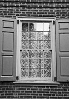 Lace Curtain Fine Art Print