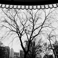 Park View I Fine Art Print