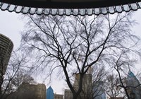 Park View II (Color) Fine Art Print