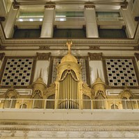 Organ Fine Art Print
