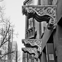 Scrolls Fine Art Print