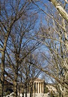 Philadelphia Museum (Trees -Color) Fine Art Print