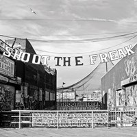 Shoot the Freak Fine Art Print