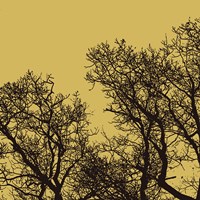 Rejoice I Fine Art Print