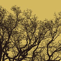 Rejoice II Fine Art Print