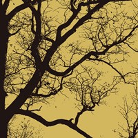 Rejoice IV Fine Art Print