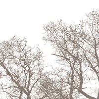 Majesty I Fine Art Print