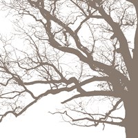 Majesty III Fine Art Print