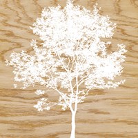 Snowy Tree Fine Art Print
