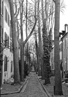 Brick Road (b/w) Fine Art Print
