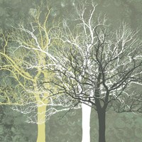 Silent Forest Framed Print