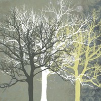 Tranquil Forest Fine Art Print