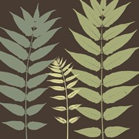 Field Botanical Fine Art Print