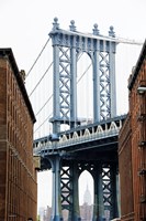 Dumbo View Fine Art Print