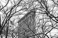 Veiled Flatiron Building (b/w) Fine Art Print