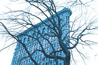 Blue Flatiron Fine Art Print