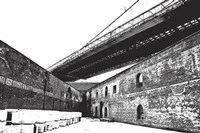 Structures (outline) Fine Art Print