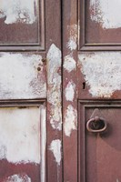 Painted Door Fine Art Print