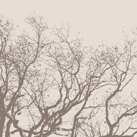 Majesty II  (beige) Fine Art Print