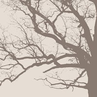 Majesty III  (beige) Fine Art Print