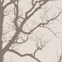 Majesty IV  (beige) Fine Art Print