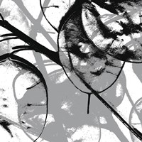 Silver Dollars VIII Fine Art Print