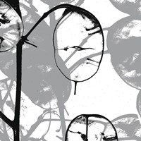 Silver Dollars IX Fine Art Print